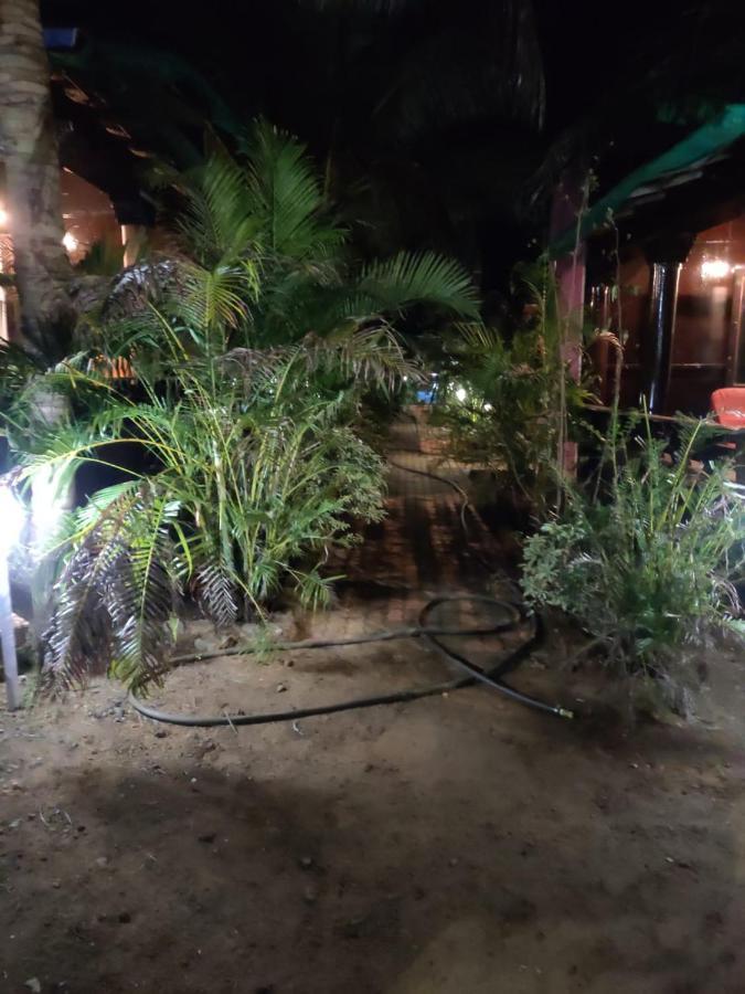 Hotel Casa Fiesta Palolem Exteriér fotografie