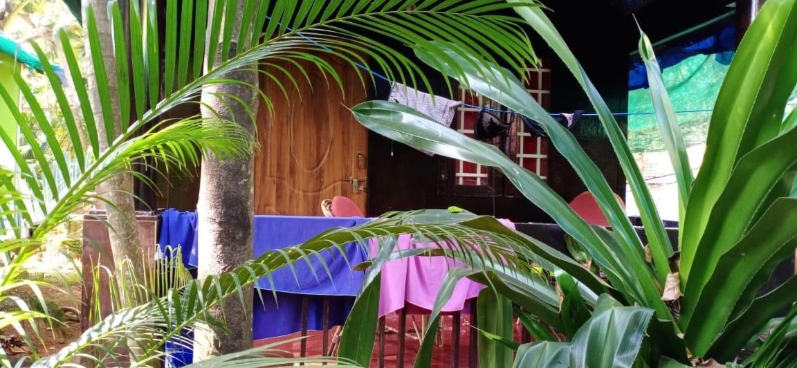 Hotel Casa Fiesta Palolem Exteriér fotografie